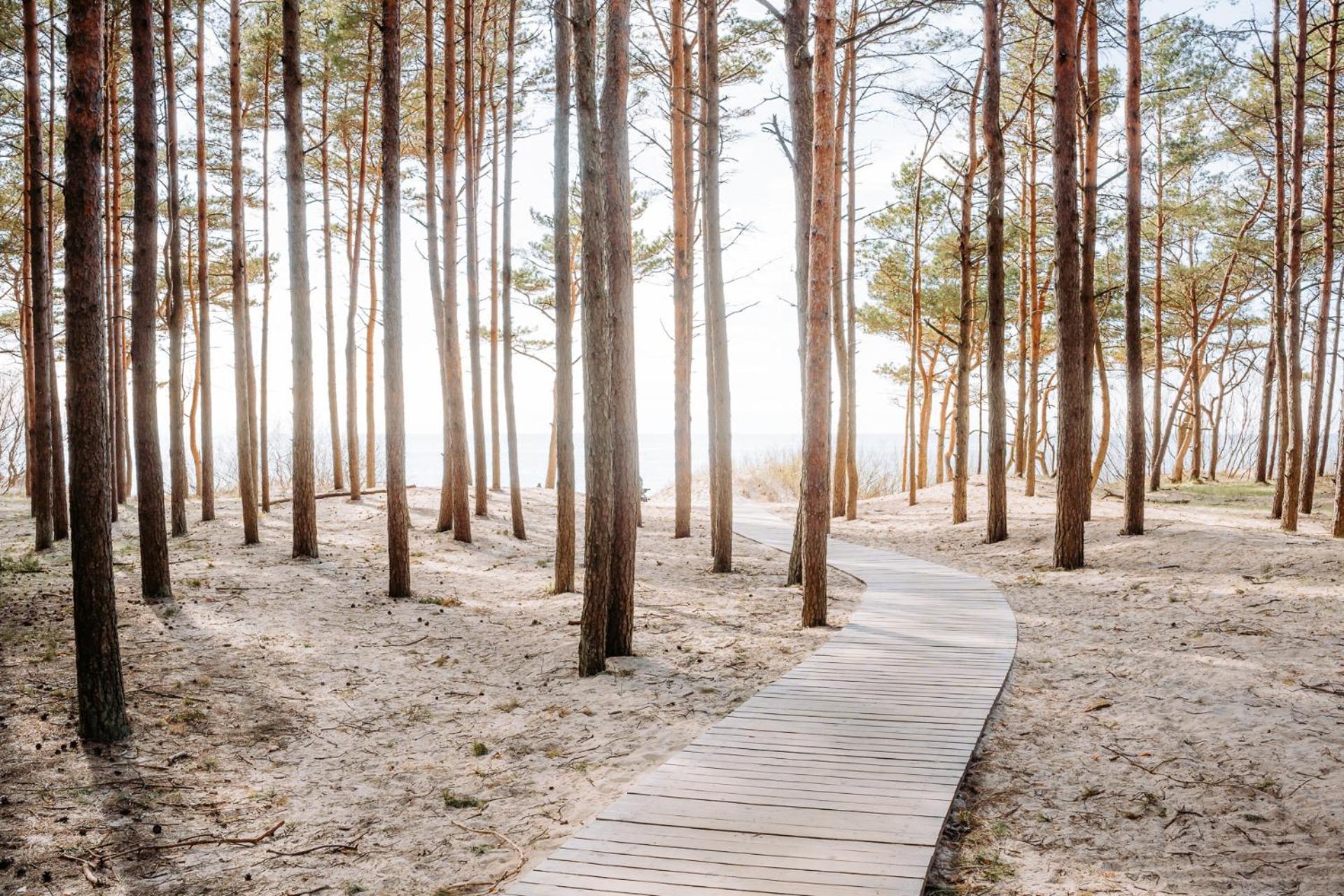Hill Palanga & Spa Eksteriør bilde